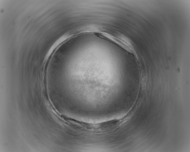 X0000054651146200508091635.png