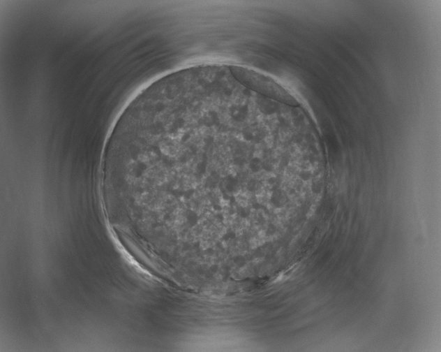 X0000055210911200508301318.png