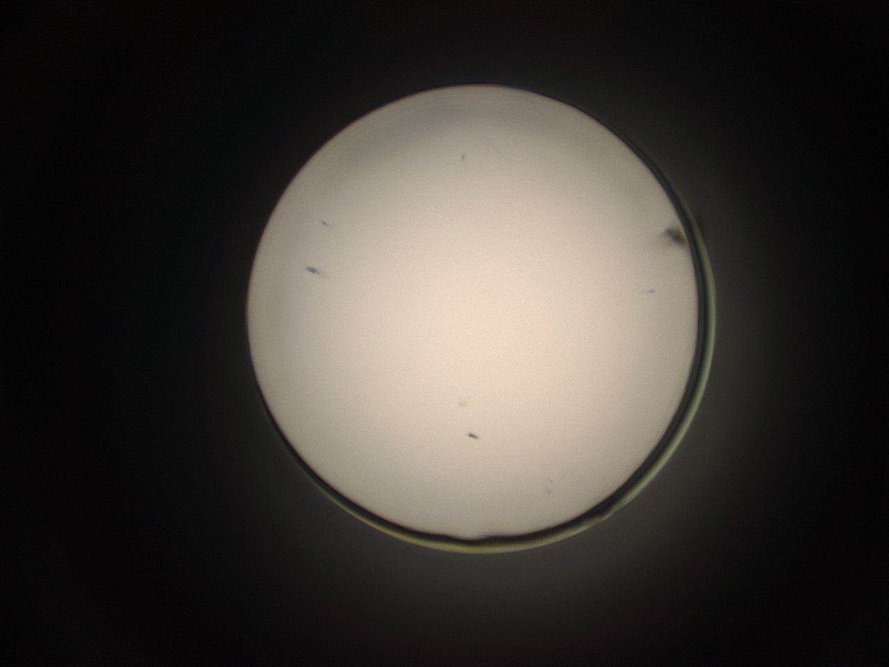 05do_G3_ImagerDefaults_1.jpg