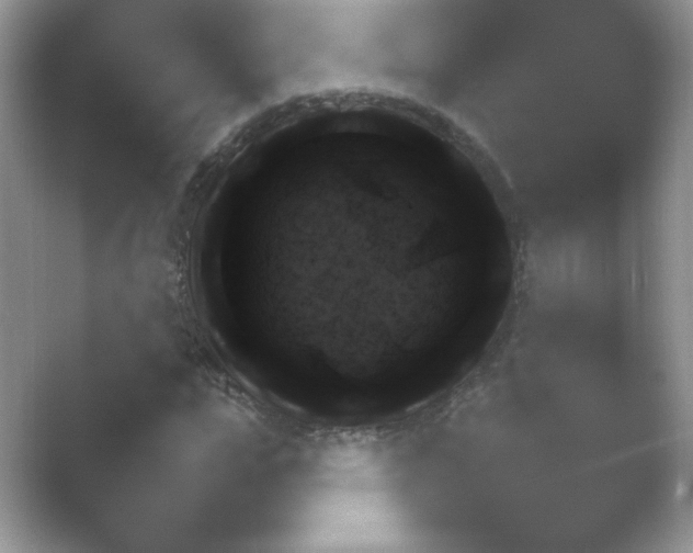 X0000054730823200508171849.png