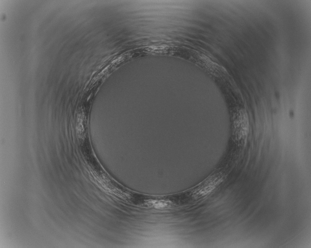X0000054170654200508101801.png