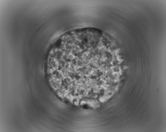 X0000053461451200508112145.png