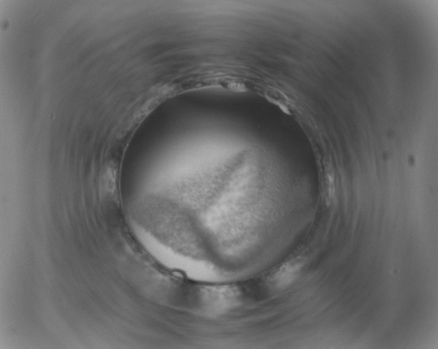 X0000054650281200508091649.png