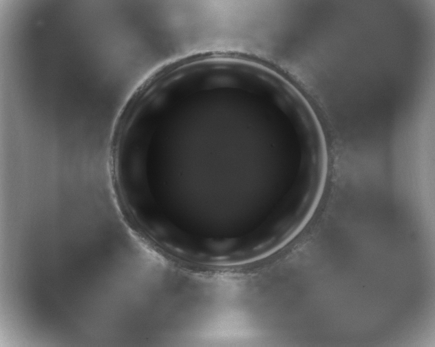 X0000054730942200508171848.png
