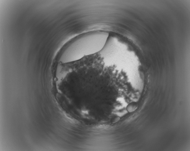 X0000053461117200508112150.png