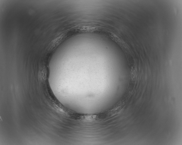 X0000055210474200508301326.png