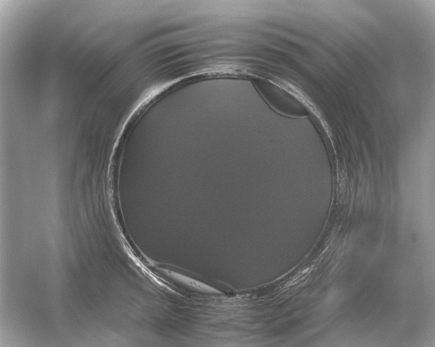 X0000054351045200508190123.png