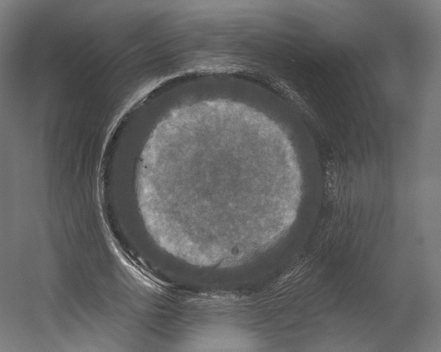 X0000055210726200508301321.png