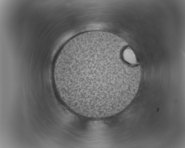 X0000053460244200508112204.png