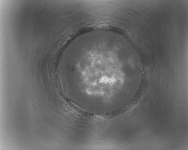 X0000054300913200508042306.png