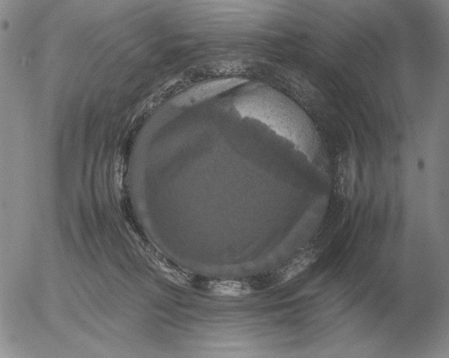 X0000054170230200508101808.png