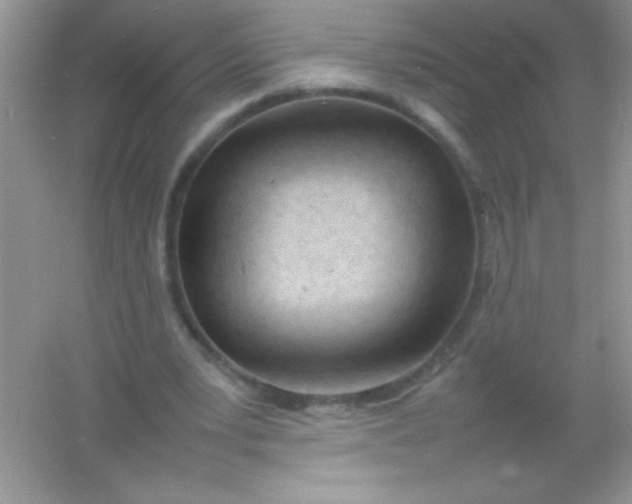 X0000054330391200508111924.png
