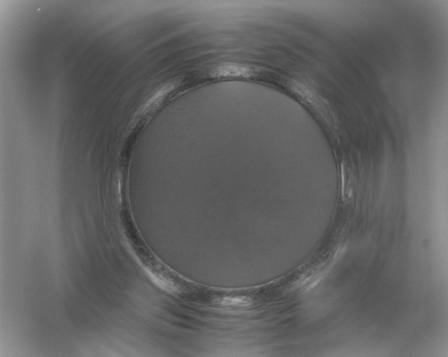 X0000054350157200508190137.png