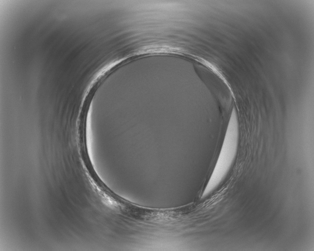 X0000054350995200508190123.png