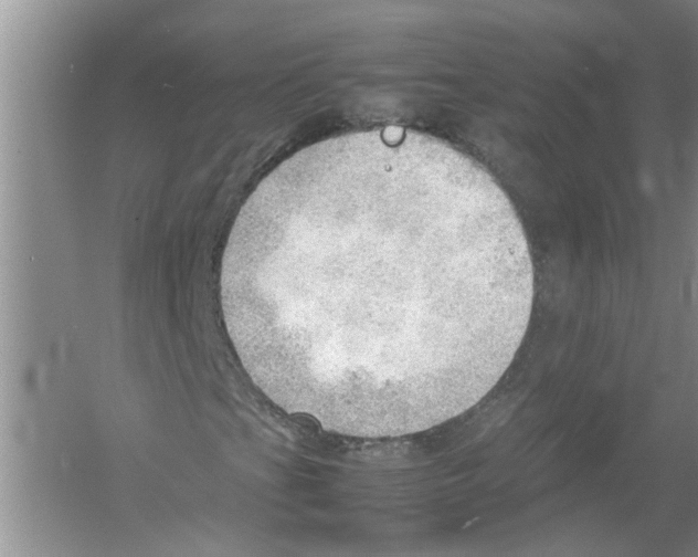 X0000054271201200508261907.png