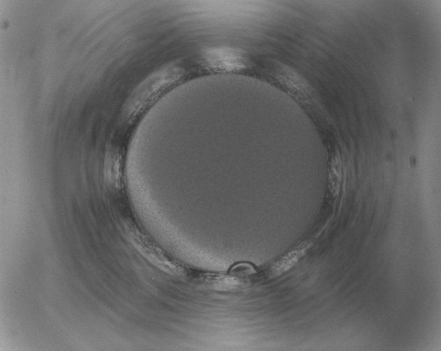 X0000054170330200508101806.png