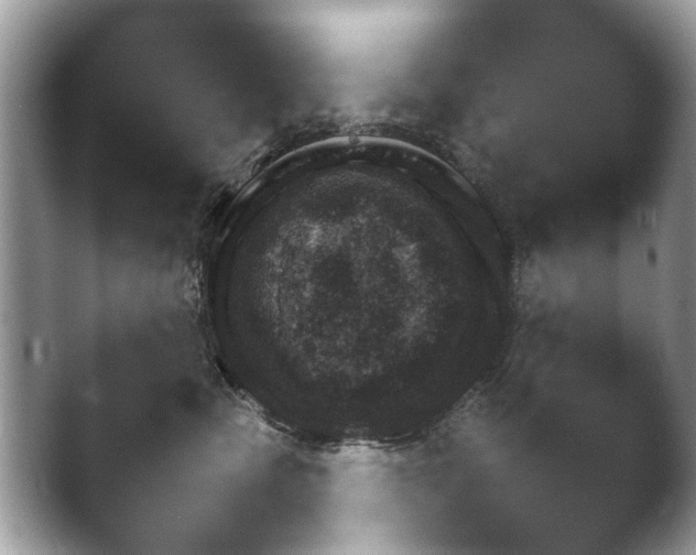 X0000043500475200412201811.png