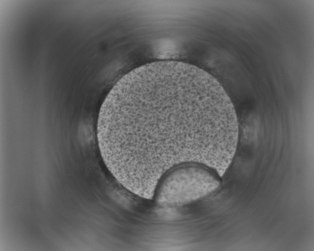 X0000053460620200508112159.png