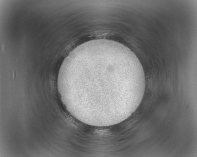 X0000054270283200508261924.png