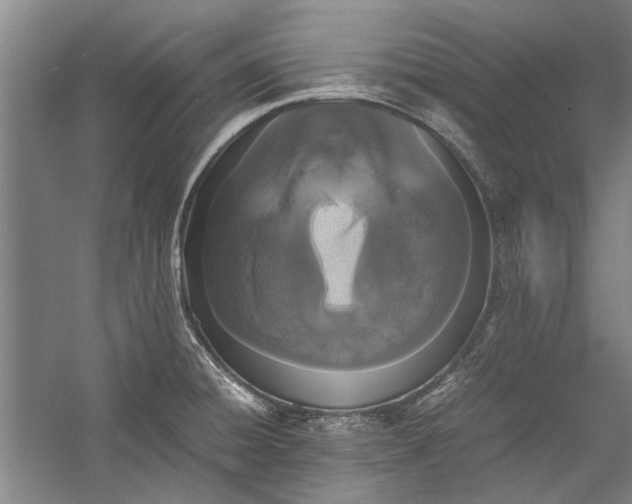 X0000055061428200508161634.png
