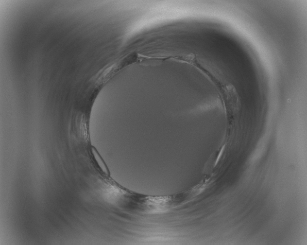 X0000054350143200508190138.png