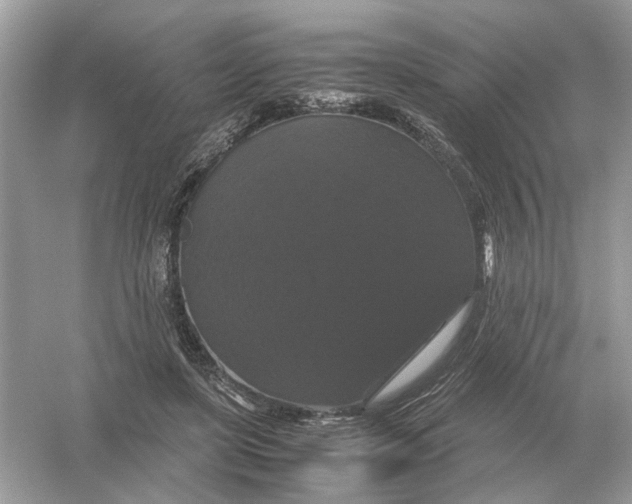 X0000054350451200508190132.png