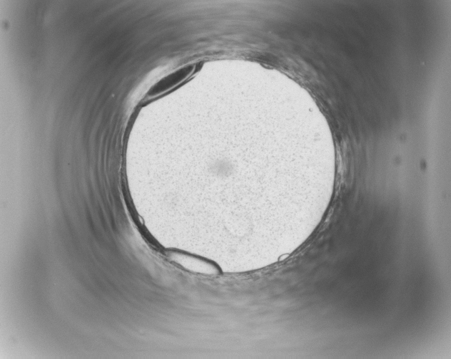 X0000054230003200508171524.png