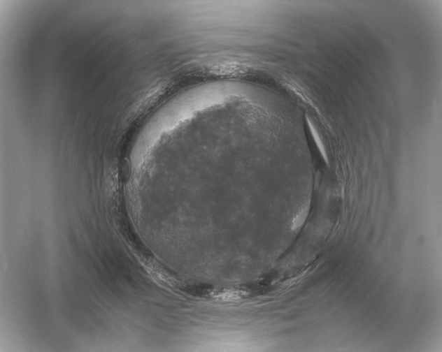 X0000054350407200508190133.png