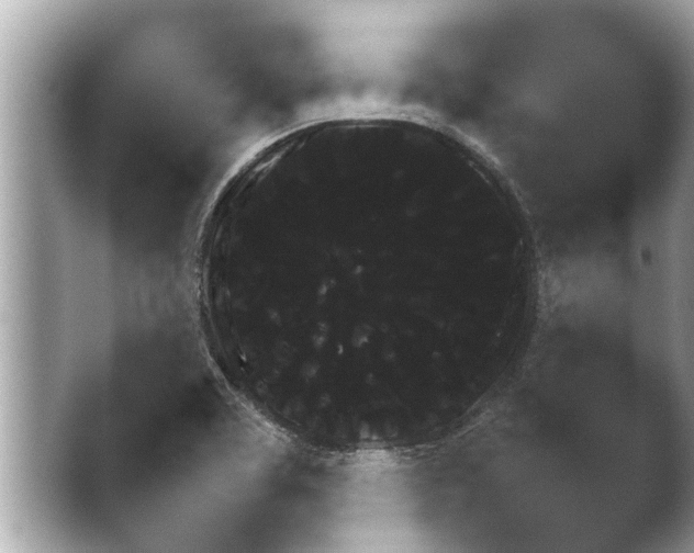 X0000041031463200411081220.png