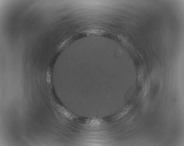X0000054350282200508190136.png