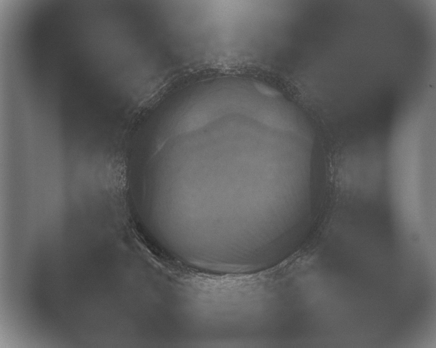 X0000051110036200507141808.png