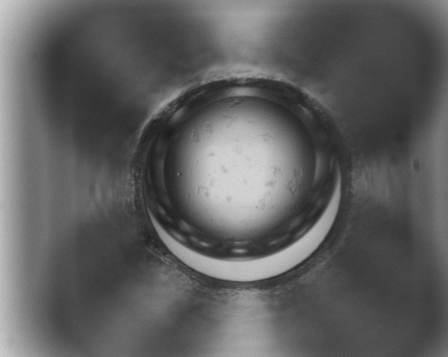 X0000038861309200409221653.png