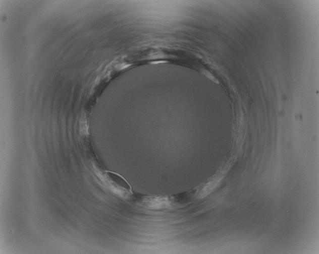 X0000054170384200508101806.png