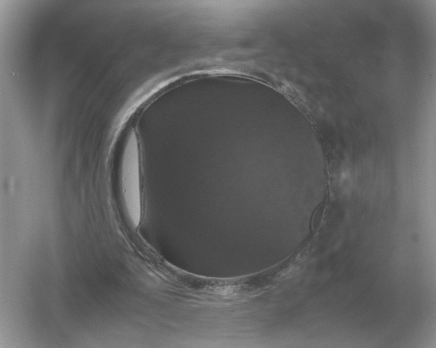 X0000054350295200508190135.png
