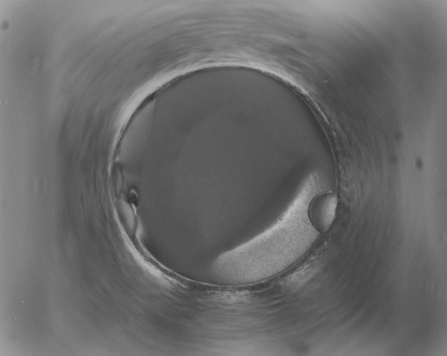 X0000054171519200508101746.png