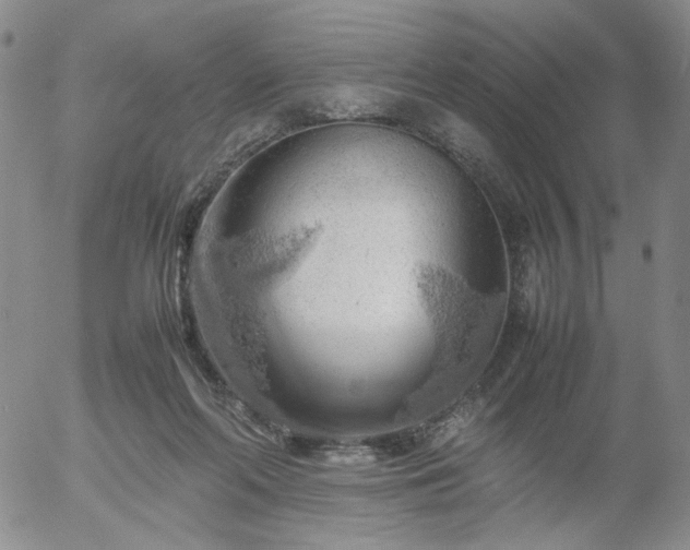 X0000054650214200508091650.png