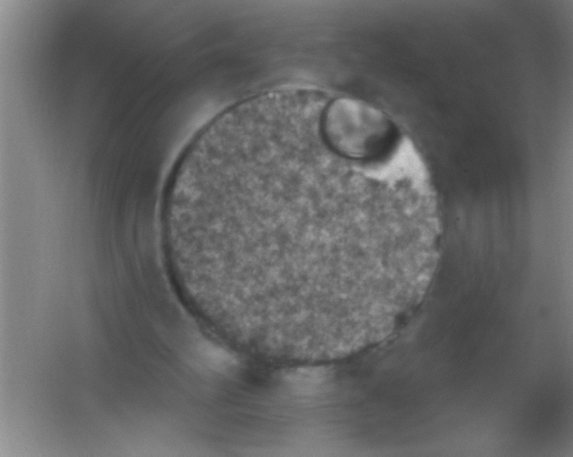 X0000053460102200508112208.png