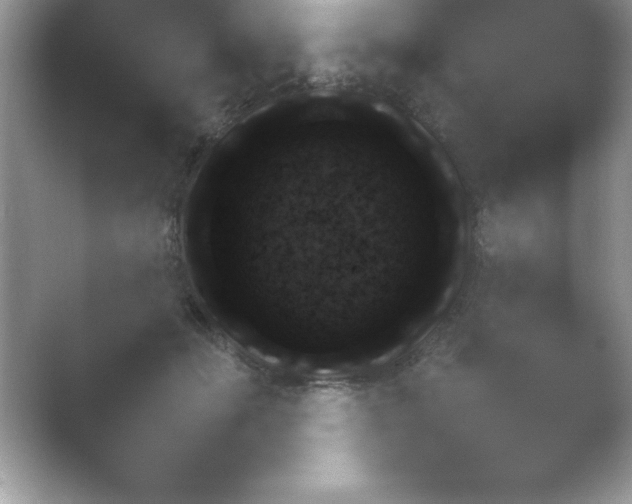 X0000054730653200508171853.png