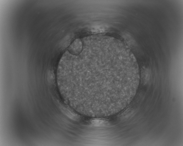 X0000053460614200508112159.png
