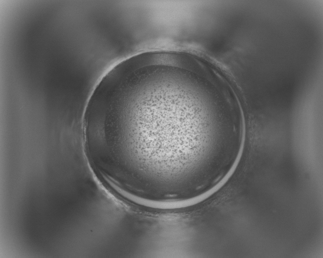 X0000052281479200507132015.png