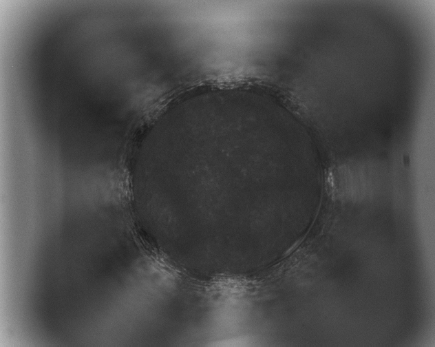 X0000046890963200502151152.png
