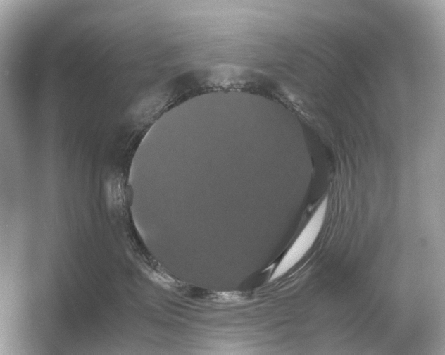 X0000054350623200508190130.png