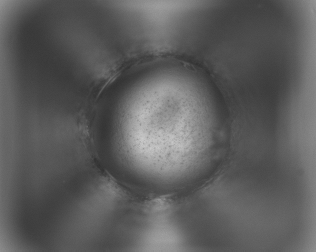 X0000054110672200508022100.png
