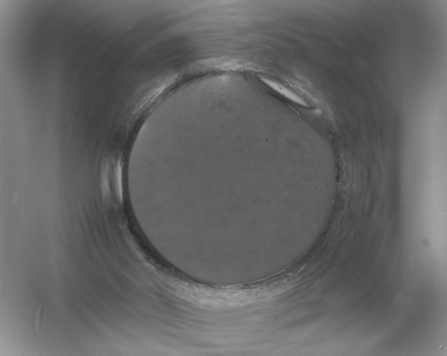 X0000054350014200508190140.png
