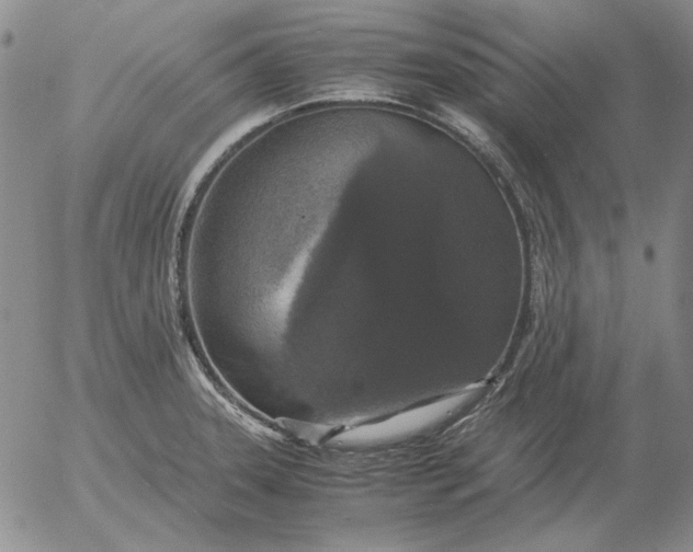 X0000054171331200508101750.png