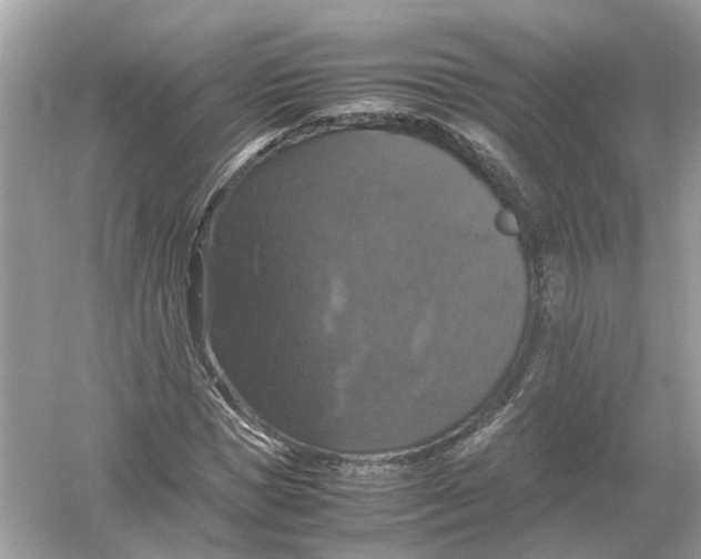 X0000054350921200508190124.png