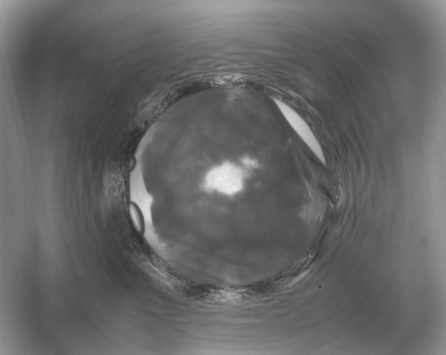 X0000054350523200508190131.png