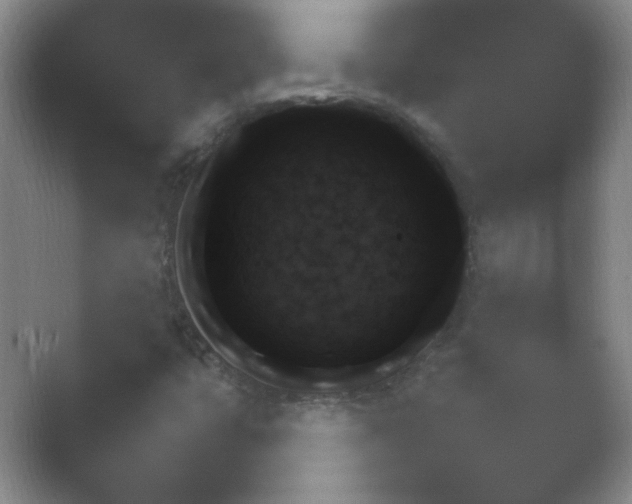 X0000054731399200508171839.png