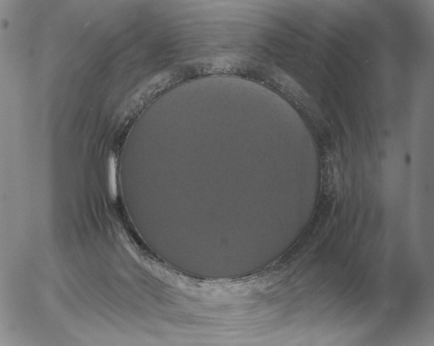 X0000054170022200508101811.png