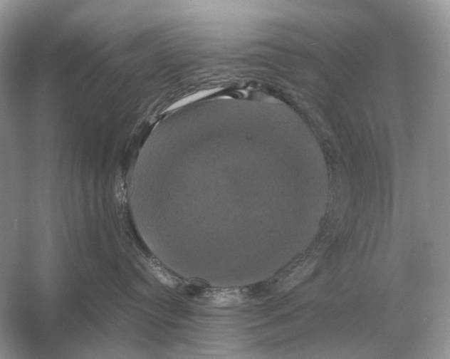 X0000054350384200508190134.png